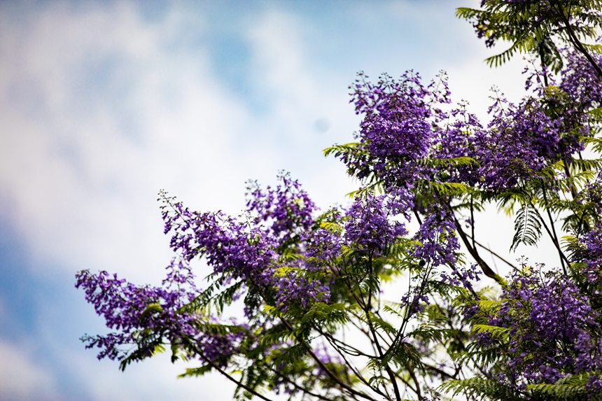 ؑcϰ^VꖞǄBͨ{ʢ_־z