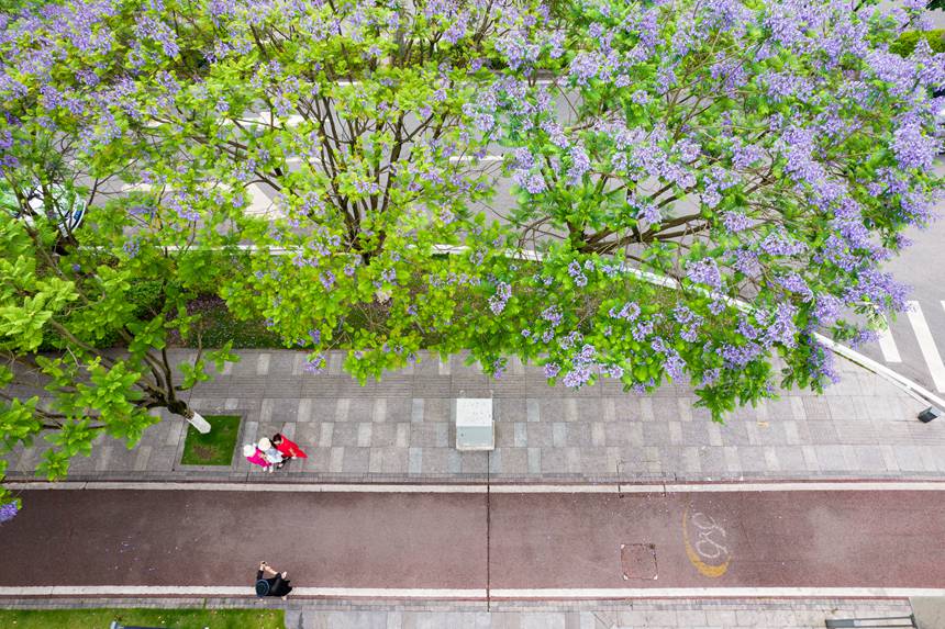 ؑcϰ^VꖞǄBͨ{ʢ_־z