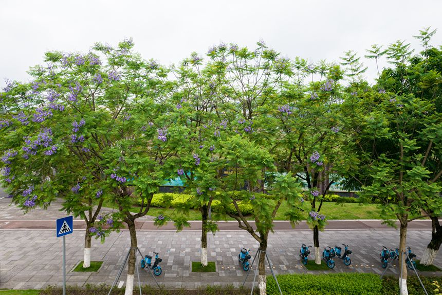 ؑcϰ^VꖞǄBͨ{ʢ_־z