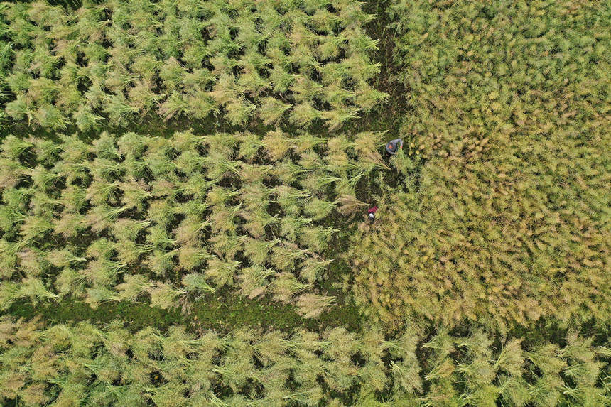 ؑcǭ^СϺ悴·^ոͲz