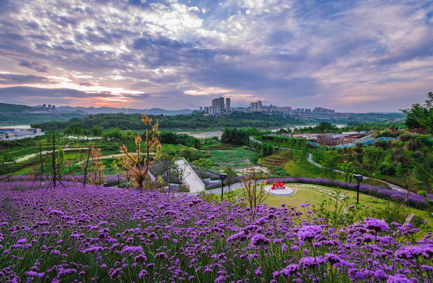 BdƬR޲c՘ɡLһɫ֔z