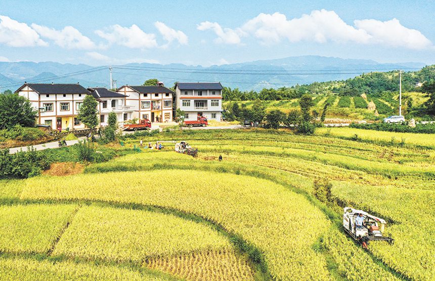 2020825山^ǧKһծԓ˾ӭhΞץerĴ˼҈@˴ӛ fy z/ҕXؑc