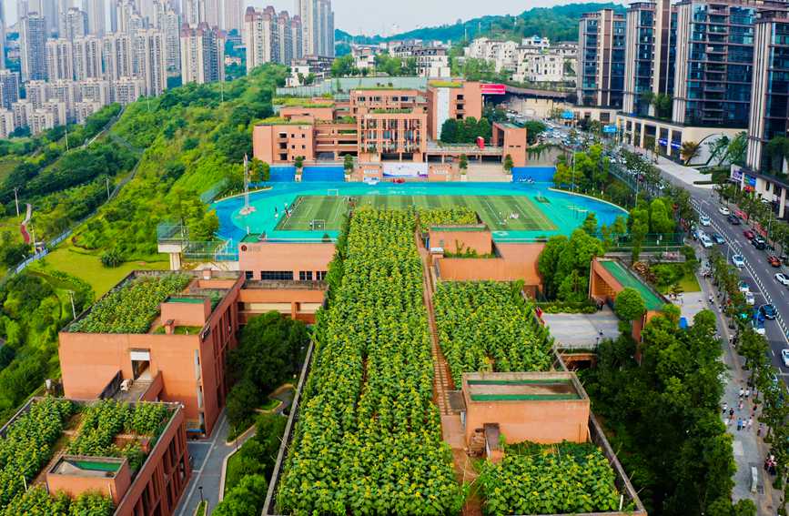 ̌W픵տ@ɽ^ǺWУD