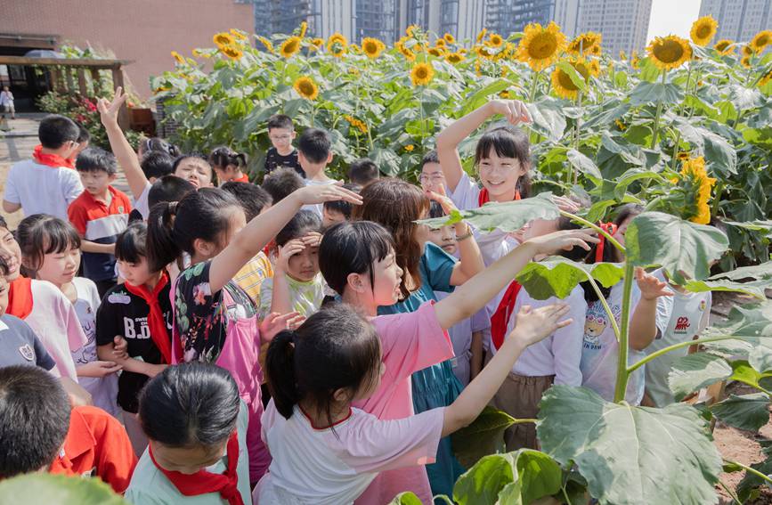 nðMտ@ɽ^ǺWУD