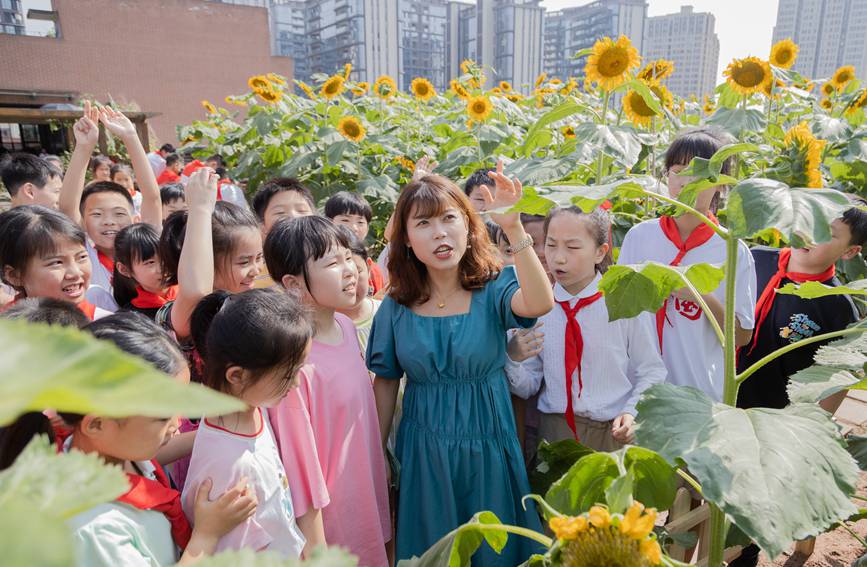 nðMտ@ɽ^ǺWУD