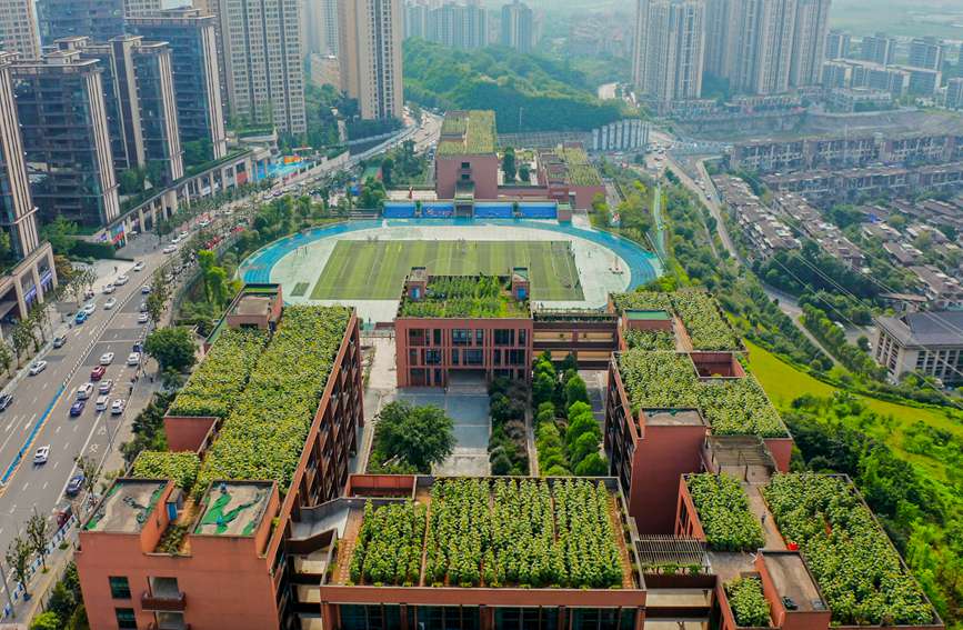 ̌W픵տ@ɽ^ǺWУD