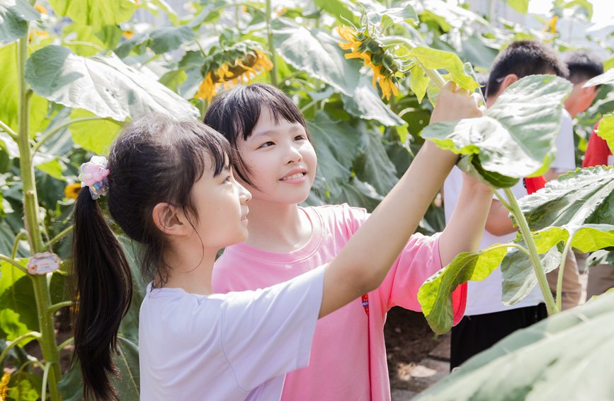 nðMտ@ɽ^ǺWУD