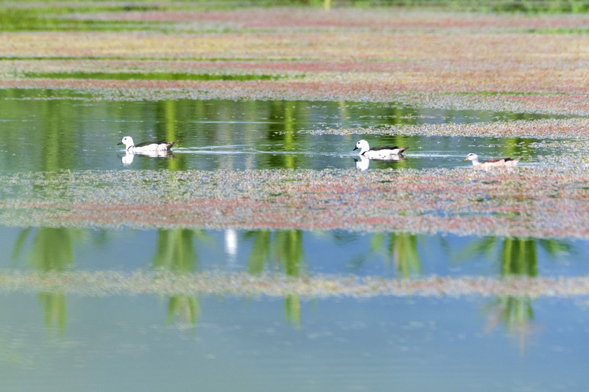 ҶoDpҝع@ˮґˣȑєz