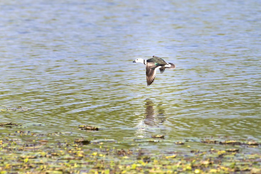 ҶoDpҝع@ˮґˣȑєz