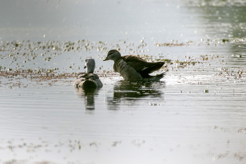 ҶoDpҝع@ȺЗϢҒʳȑєz