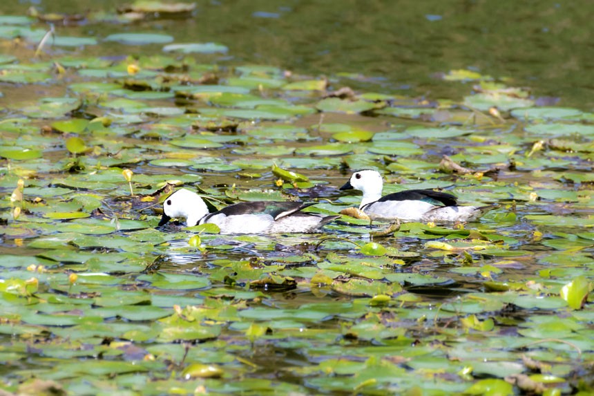 ҶoDpҝع@ȺЗϢҒʳȑєz