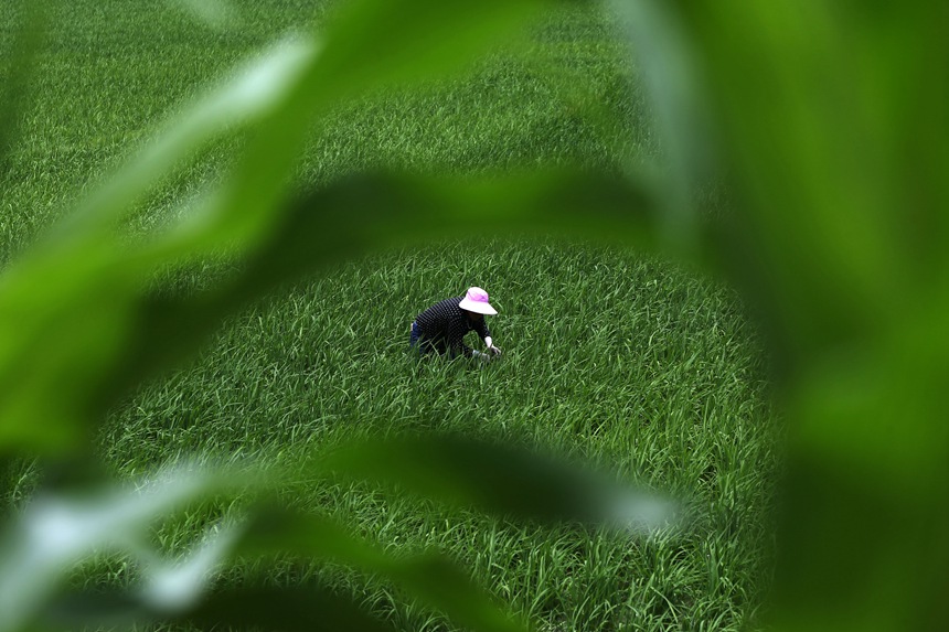 621ؑcǭ^Rɼڵ޶z