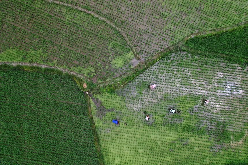 621ؑcǭ^Rɼڵ޶z