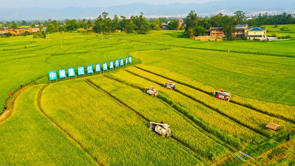 ƽ^“fʯ•ǧ”ˮNֲxz