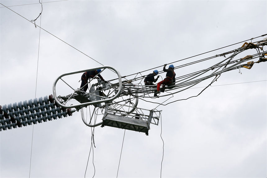 Q㽭800ǧظ߉ֱݔ늹ؑcǭֶʩFڸ߿Iz