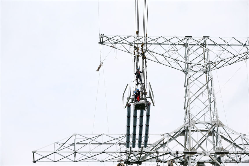 Q㽭800ǧظ߉ֱݔ늹ؑcǭֶʩFڸ߿Iz