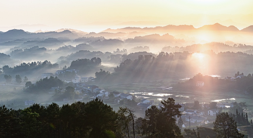 南川興隆鎮云霧相伴繪出山鄉水墨畫。瞿明斌攝