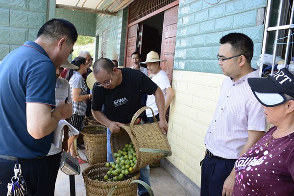鎮上負責人現場把關脫骨李質量和重量。受訪者供圖