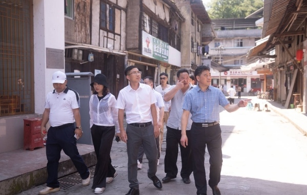 專家們參觀考察。石龍鎮供圖