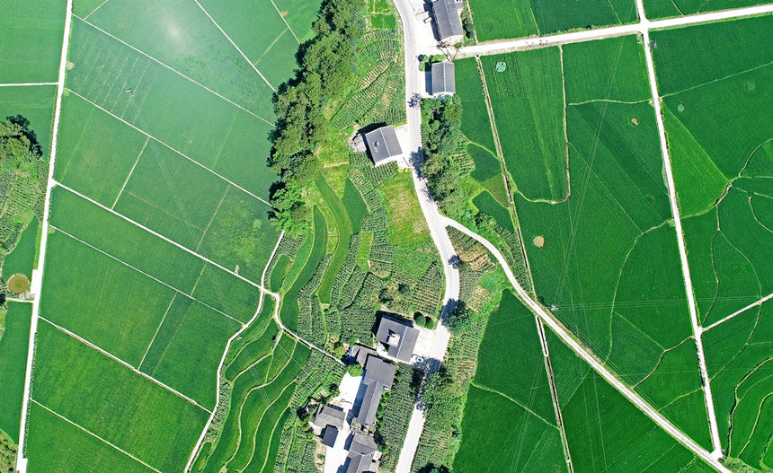 涪陵馬武鎮文觀村田間風景如畫。黃河攝