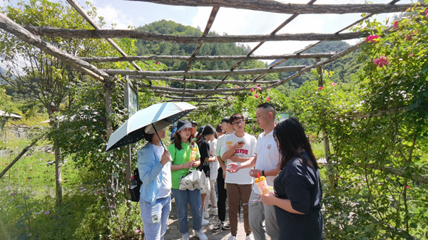燭光教育關愛小分隊在嵐天鄉大巴山蜂情園進行研學。城口縣委宣傳部供圖