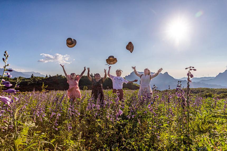 游客在南川山王坪感受涼爽夏日。瞿明斌攝