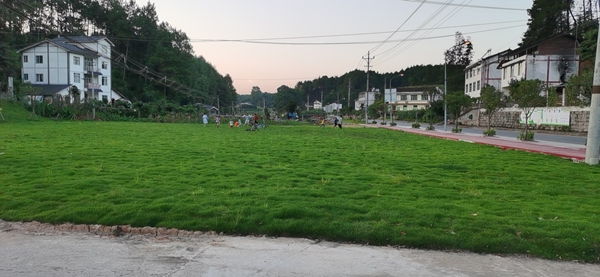 整治后。石龍鎮供圖