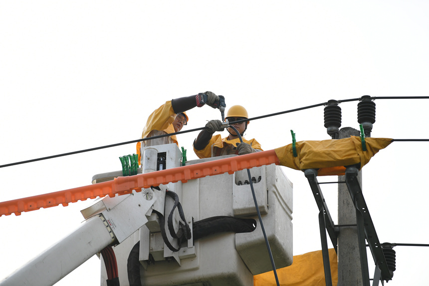 電力公司工作人員在巴南區界石鎮虎嘯村開展帶電作業。潘洪攝