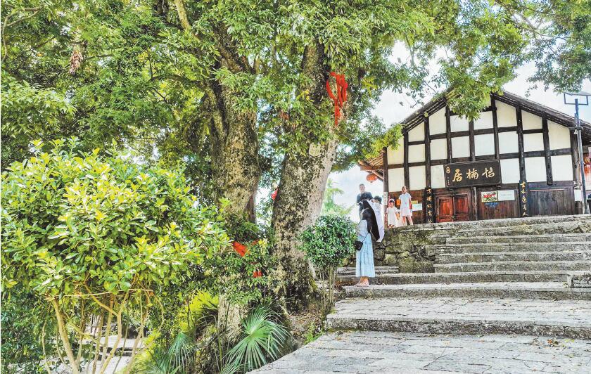 酉陽兩罾鄉內口村獲評“中國千年金絲楠第一村”