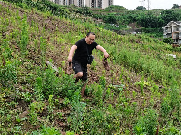 《加強日常隱患巡查，保一方平安》。5月26日，在大渡口區八橋鎮互助村，大渡口區駐守地質隊員王璐杰提著沾滿泥土的鞋子，赤腳繼續開展日常地質災害隱患排查、巡查。石飛攝