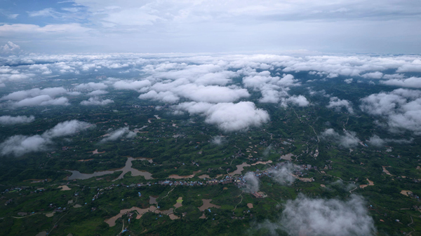 街道全景。李渡街道供圖