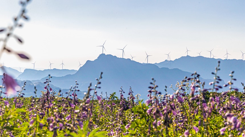 風力發電車迎風轉動。瞿明斌攝