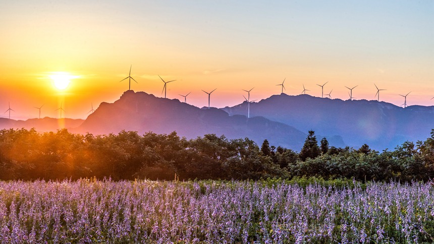 風力發電車迎風轉動。瞿明斌攝