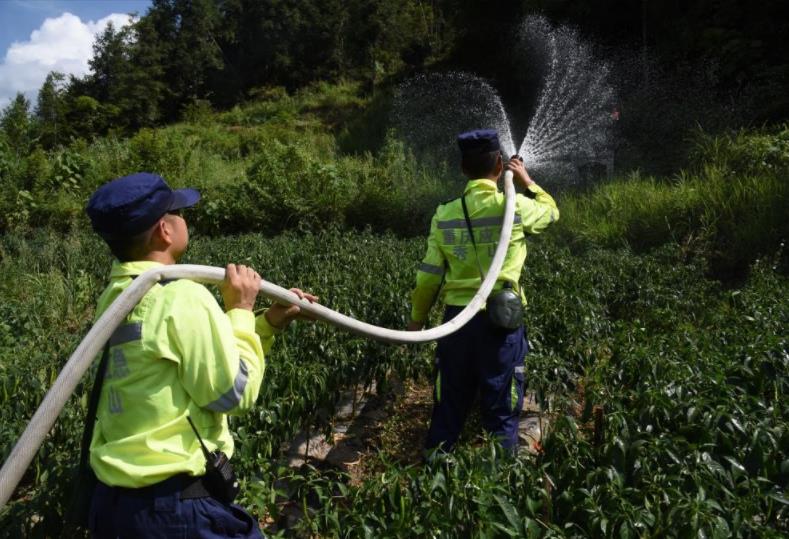 秀山縣應急管理局綜合救援隊隊員抽水灌溉辣椒種植基地。任燕攝