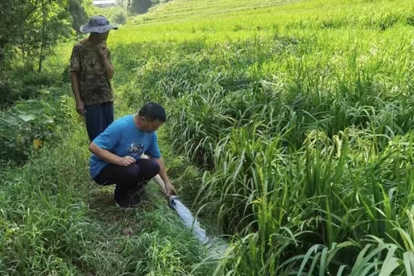 姜家鎮水源村黨委書記楊永明查看農田灌溉情況。姜家鎮政府供圖