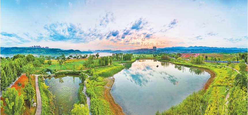 8月16日，廣陽島生機盎然的初秋美景。特約攝影 鐘志兵/視覺重慶