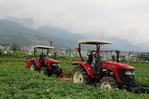 巫溪馬鈴薯良種繁育示范基地機械化作業現場。資料圖片