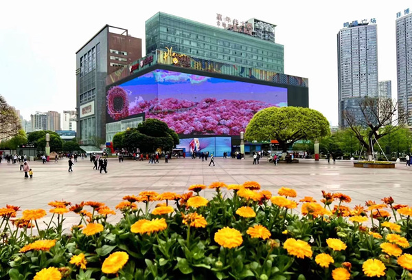 3788“亞洲之光”LED裸眼巨幕。江北區委宣傳部供圖