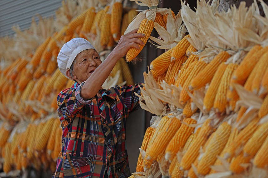 村民正在晾曬糧食。趙勇攝