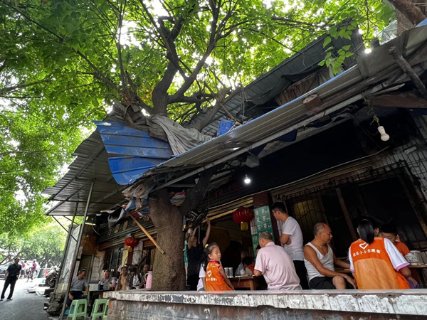 黃桷樹下老茶館。 邢家橋社區社工室供圖