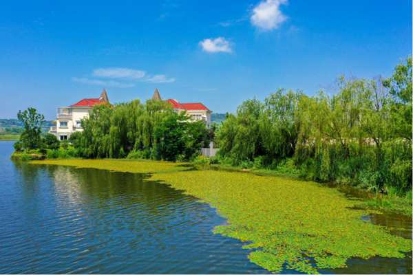 濕地美景。余先懷攝