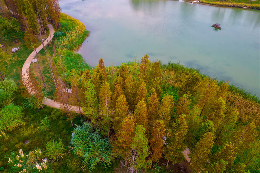 初秋時節的廣陽島，湖光青碧，樹葉泛黃。郭旭攝
