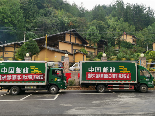 滿載中益黃精面的車輛即將發車。李波攝