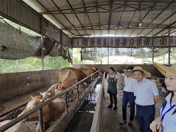 送金融服務到家。民生銀行重慶分行供圖