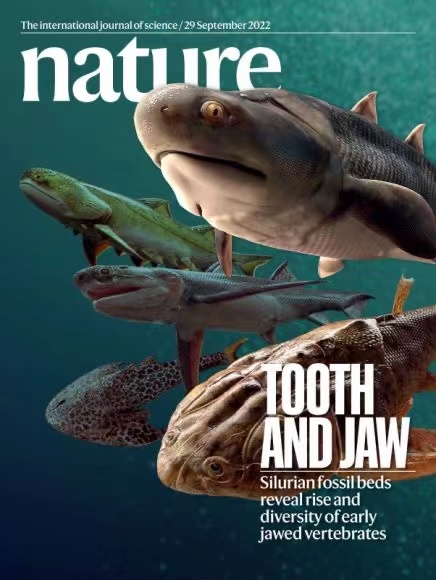 國際頂級學術期刊《Nature》封面。重慶市規劃和自然資源局供圖