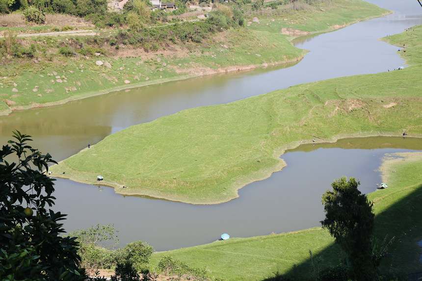長江支流梨香溪兩岸長滿了綠油油的嫩草。楊孝永攝