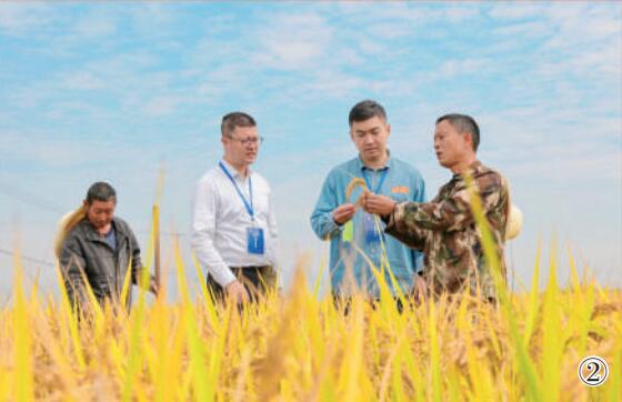 浙江省金華市婺城區紀檢監察干部向農戶了解惠農政策落實情況。 田雙雙攝（影像中國）