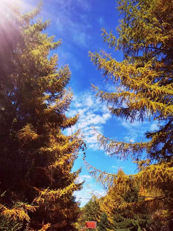 巫山秋色。李政權攝