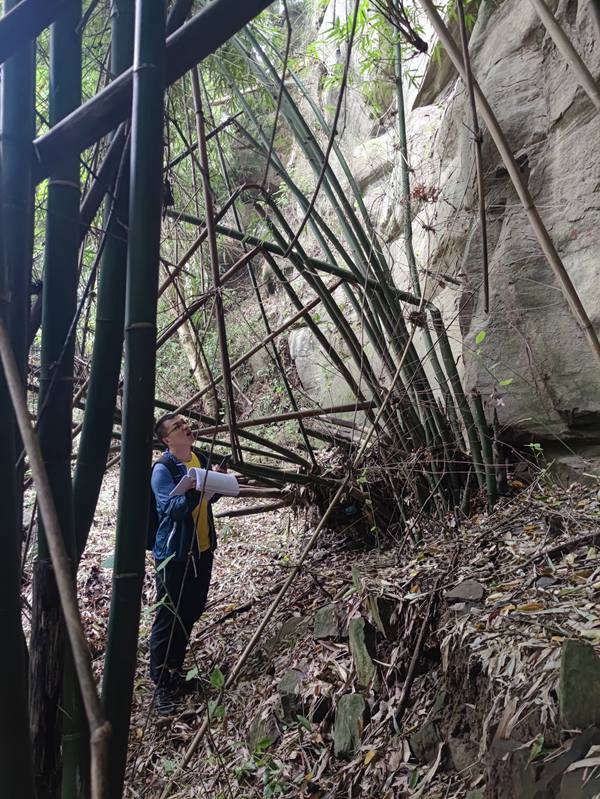 《核查危巖》。9月3日，南江地質隊萬州辦事處技術負責廖學海來到萬州區五橋街道核查野貓洞危巖。李華志攝