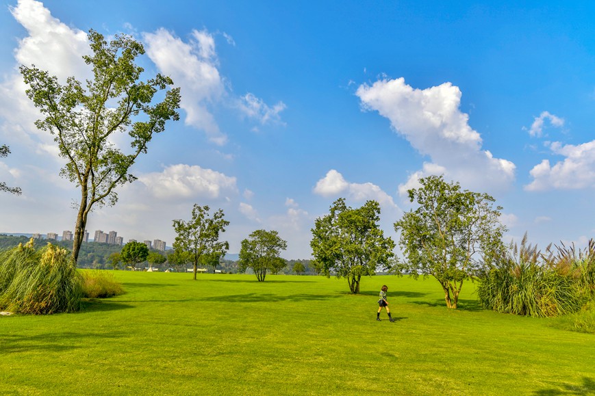 秋色迷人的重慶廣陽島。崔景印攝
